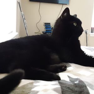 Meet your Posher, Christine